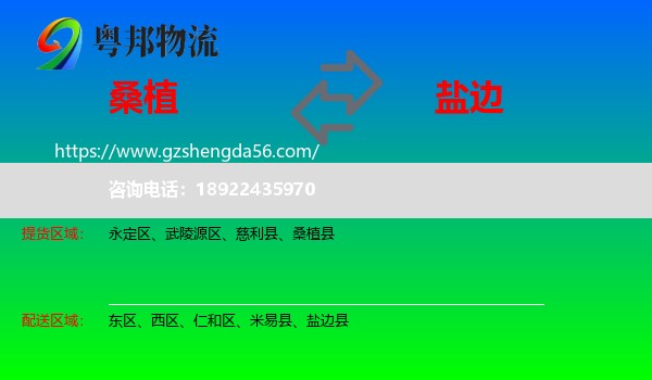 桑植县到盐边县物流专线
