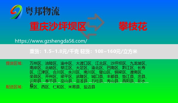 沙坪坝区到攀枝花物流专线