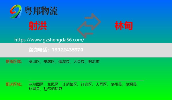 射洪市到林甸县物流专线