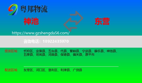 神池县到东营物流