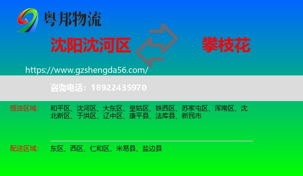 沈河区到攀枝花物流专线