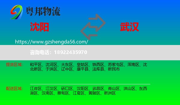 沈阳到武汉专线