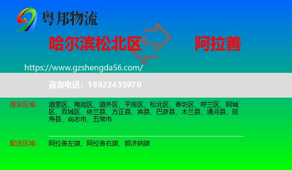 松北区到阿拉善盟物流专线