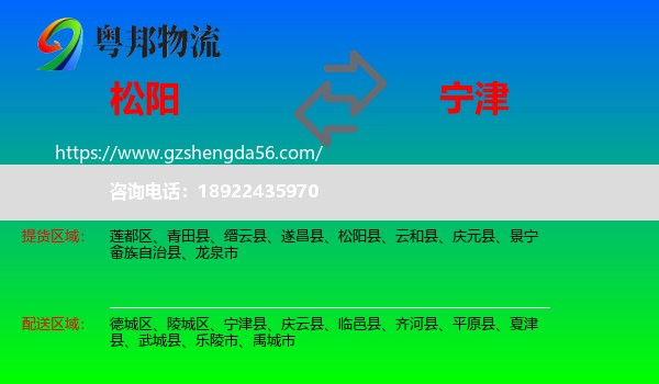 松阳县到宁津县物流专线