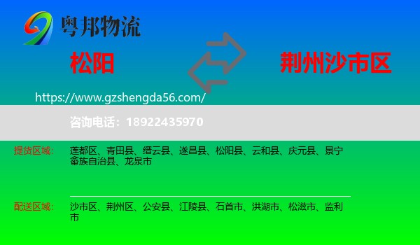 松阳县到沙市区物流专线