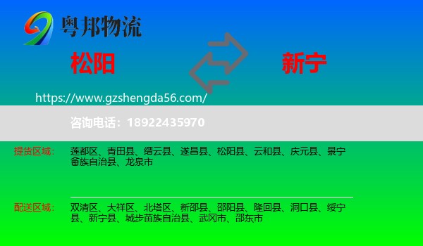 松阳县到新宁县物流专线