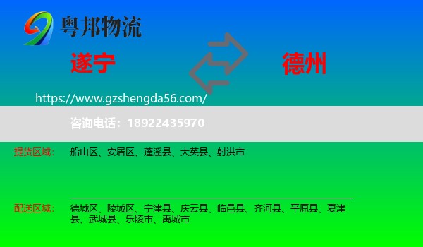 遂宁到德州物流