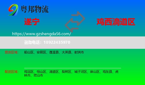 遂宁到滴道区物流专线