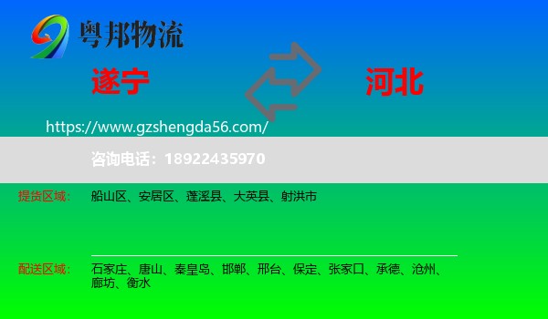 遂宁到河北物流