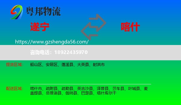 遂宁到喀什物流