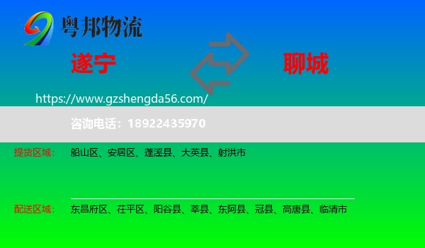 遂宁到聊城物流