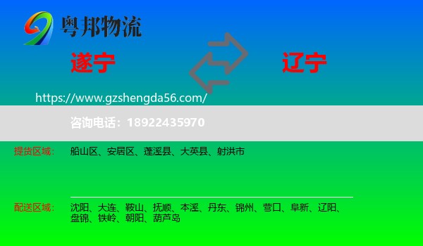 遂宁到辽宁物流