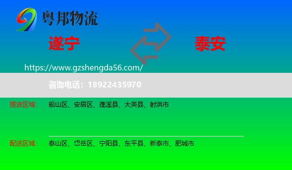 遂宁到泰安物流
