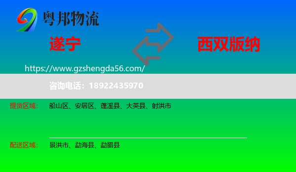 遂宁到西双版纳物流