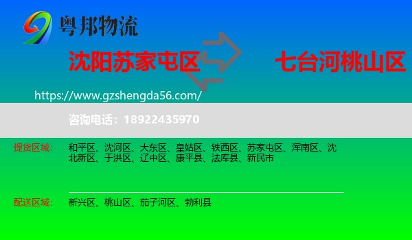 苏家屯区到桃山区物流专线