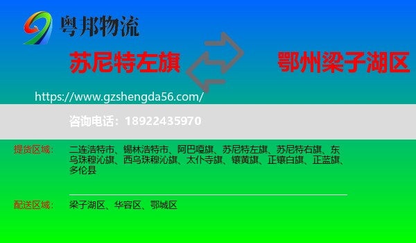 苏尼特左旗到梁子湖区物流专线