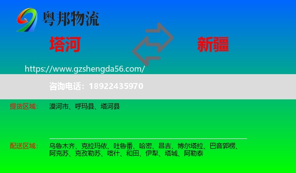 塔河县到新疆物流