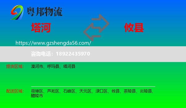 塔河县到攸县物流专线
