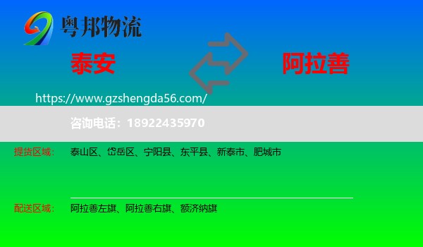 泰安到阿拉善盟物流