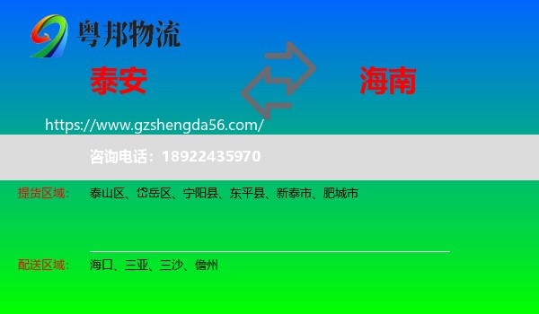 泰安到海南物流