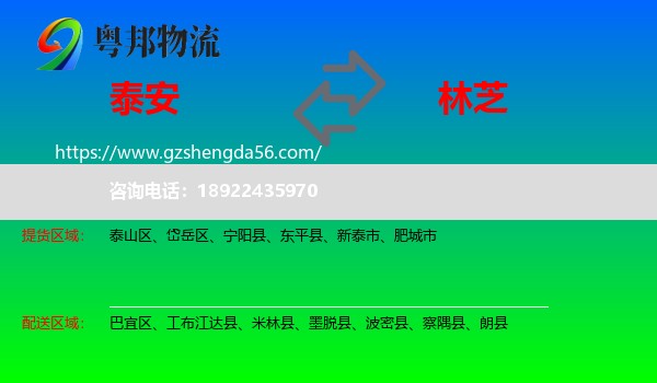 泰安到林芝物流