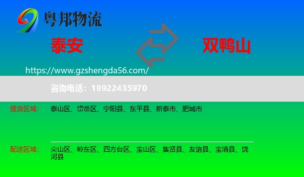 泰安到双鸭山物流