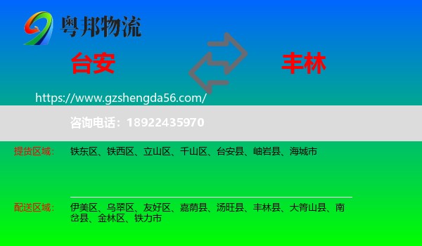 台安县到丰林县物流专线
