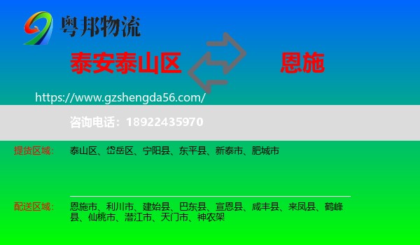 泰山区到恩施物流