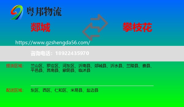 郯城县到攀枝花物流