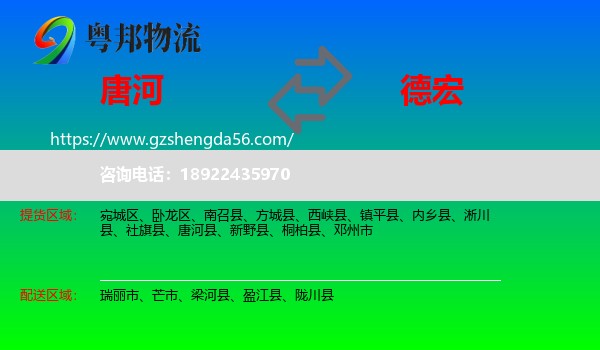 唐河县到德宏物流