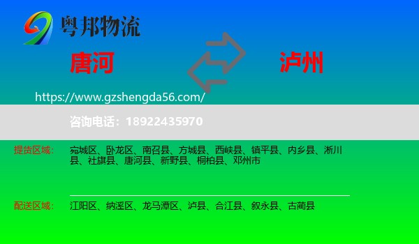 唐河县到泸州物流