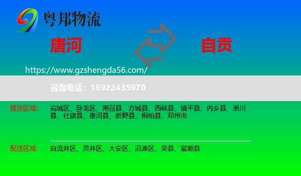 唐河县到自贡物流
