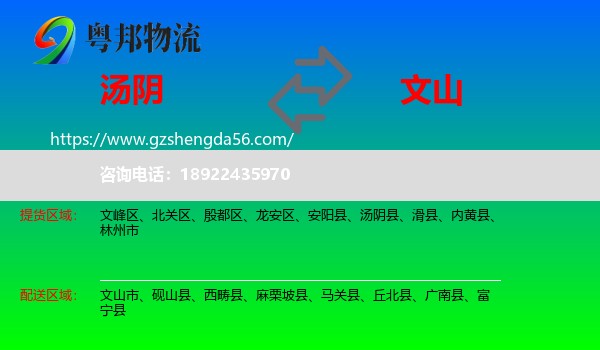 汤阴县到文山物流