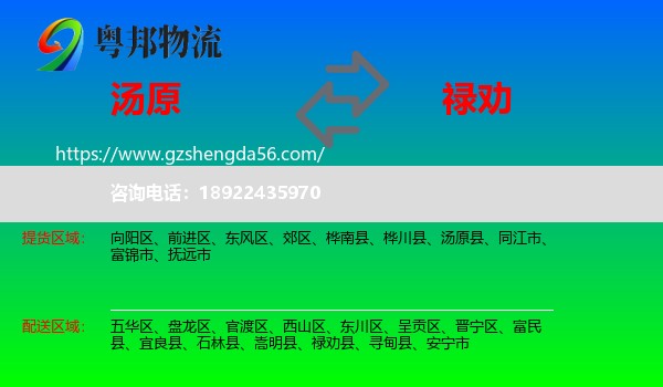 汤原县到禄劝县物流专线
