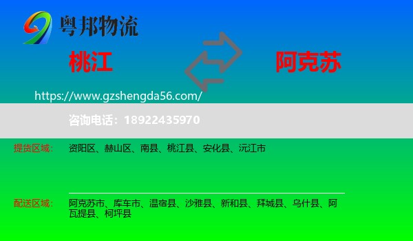桃江县到阿克苏物流