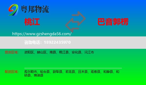 桃江县到巴音郭楞物流