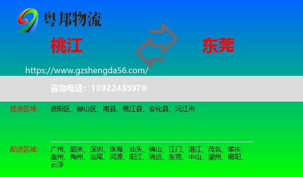 桃江县到东莞物流