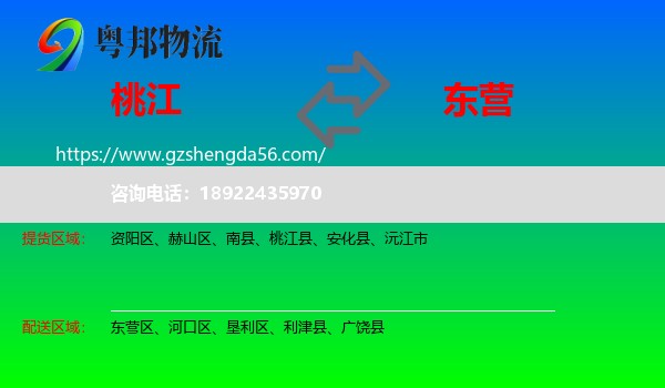 桃江县到东营物流