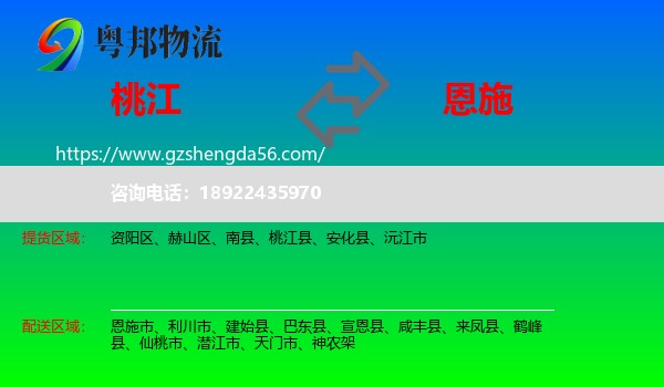 桃江县到恩施物流