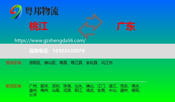 桃江县到广东物流