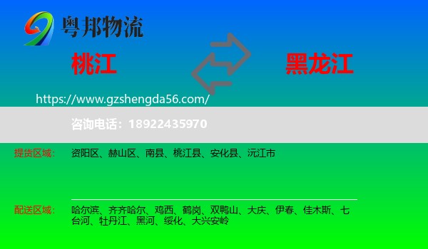 桃江县到黑龙江物流