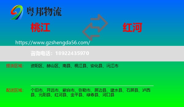 桃江县到红河物流