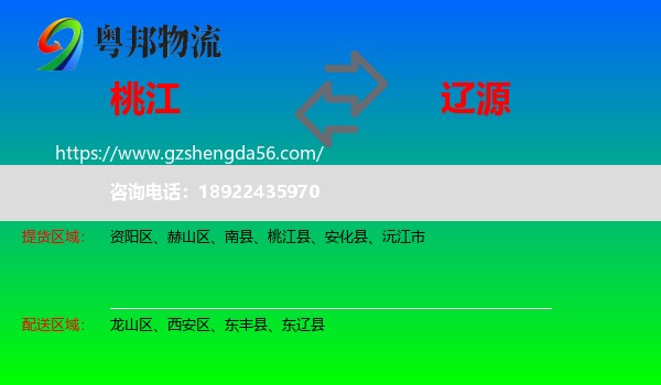 桃江县到辽源物流