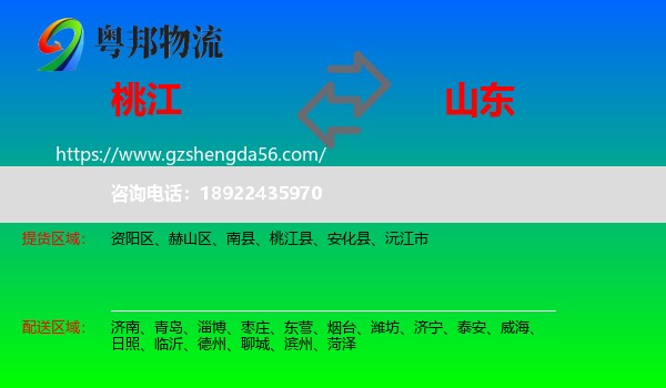 桃江县到山东物流