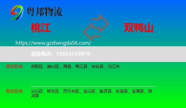 桃江县到双鸭山物流