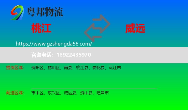 桃江县到威远县物流专线