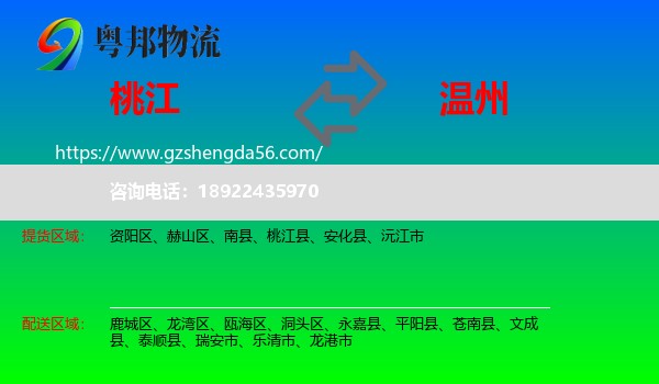 桃江县到温州物流