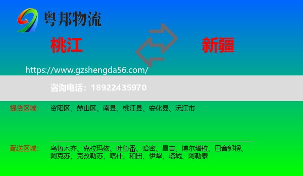 桃江县到新疆物流
