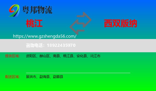 桃江县到西双版纳物流