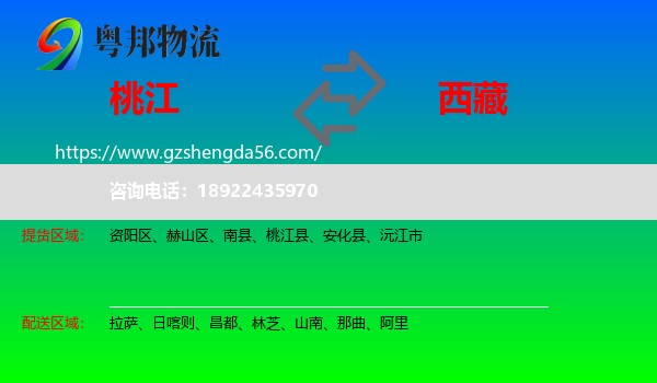 桃江县到西藏物流